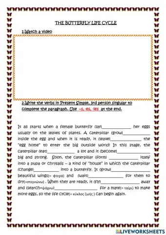 The butterfly lifecycle