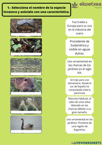 1.- Selecciona el nombre de la especie invasora y asócialo con una característica