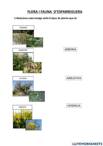 Flora i fauna d'esparreguera