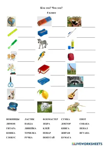 Что это? Кто это?