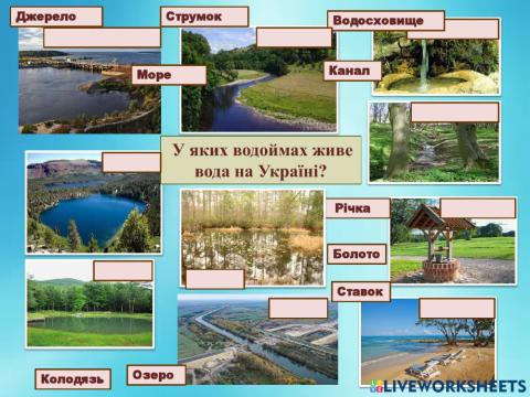 Інтерактивна вправа. У яких водоймах живе вода на Україні?