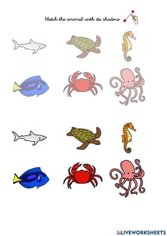 Match the animals with its shadow