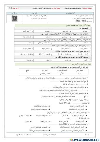 ورقة عمل 25 الكيمياء العضوية الحيوية