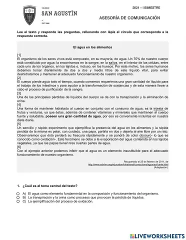 Comprensión lectora