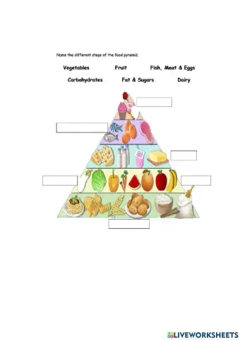 Food pyramid