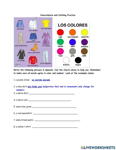 Worksheet on Concordancia