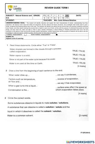 Reinforcement guide t1