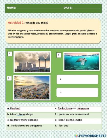 Environment Issues 1