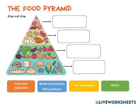 The food pyramid