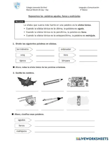CLASIFICACIÓN DE PALABRAS