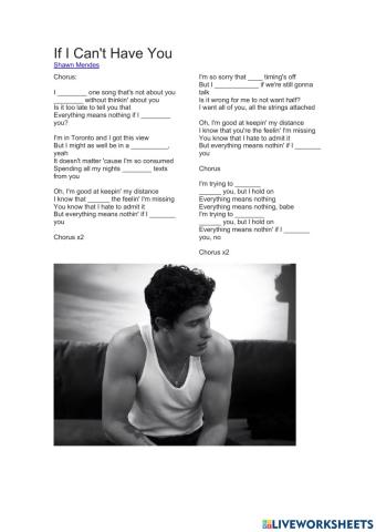 Complete the song- Shawn Mendes