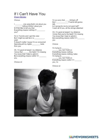 Complete the song- Shawn Mendes