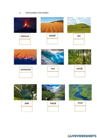 Unscramble the words