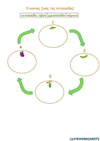 Ο κύκλος ζωής της πεταλούδας!!!