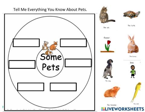 Tell Me Everything You Know About Pets 1