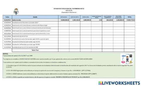 Estado de evolución del patrimonio neto