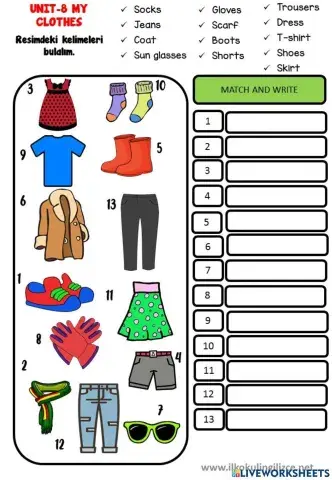 4.8 My Clothes New Words