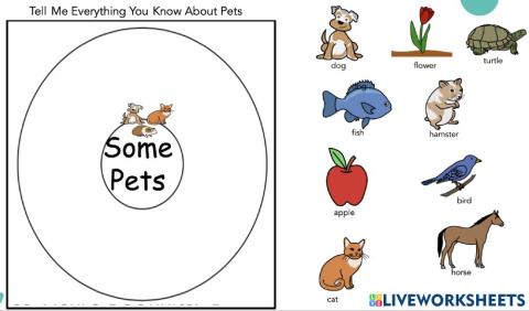 Tell Me Everything You Know About Pets 2
