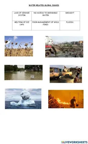 Issues related to water