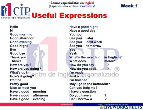 Useful Expressions week 1