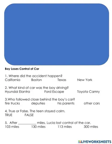 Boy Loses Control of Car Video Comprehension