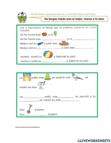 Completa las oraciones