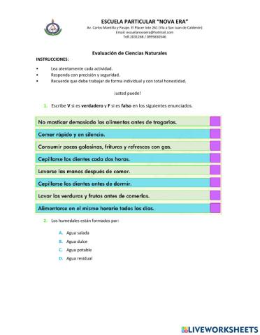 Evaluación de CC.NN 5to 1P 2Q