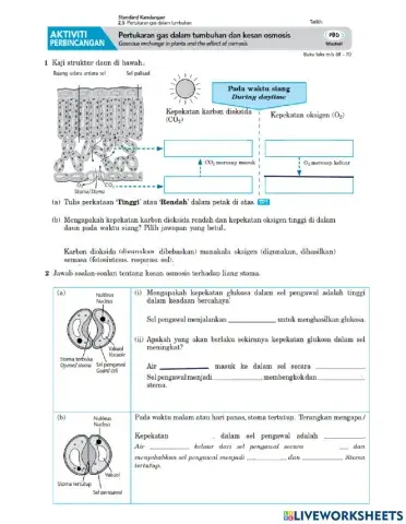 2.5 Pertukaran gas dalam tumbuhan