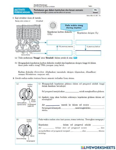 2.5 Pertukaran gas dalam tumbuhan