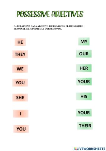 Possessive adjectives.