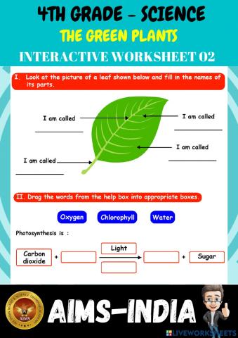 4th-science-ps02-the green plants