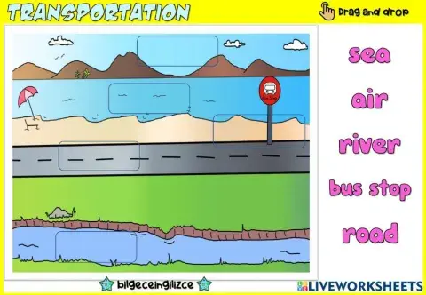 Transportation (Drag-drop)