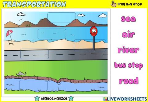 Transportation (Drag-drop)