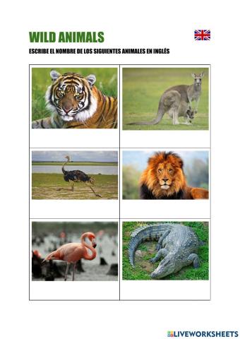 Wild animals