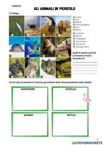 Lessico-Animali in  pericolo