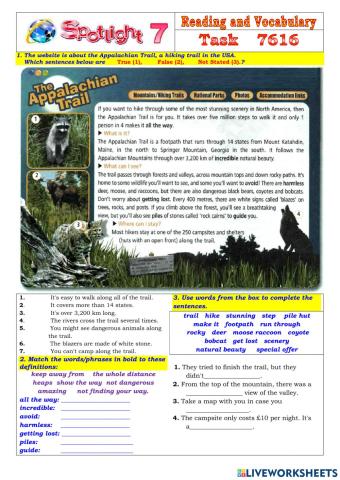 Spotlight 7 Task 7616