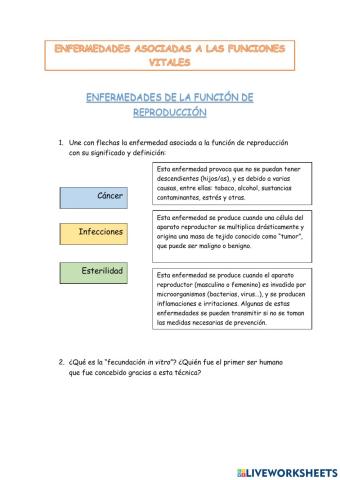Enfermedades función de reproducción