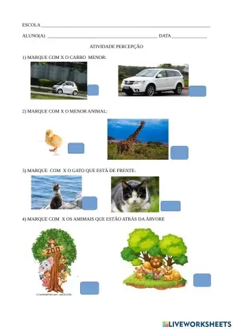 Atividade de percepção