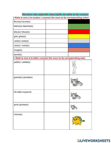 Révision :taille ,couleur, animaux domestiques