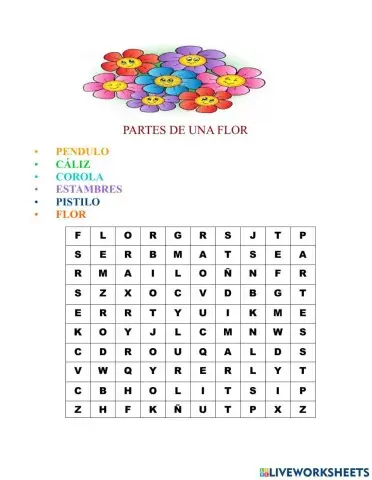 Partes de una flor