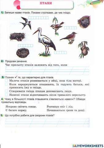 Птахи навесні