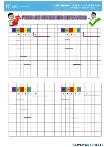 Divisiones inexactas