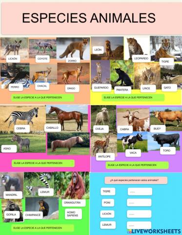 Especies animales