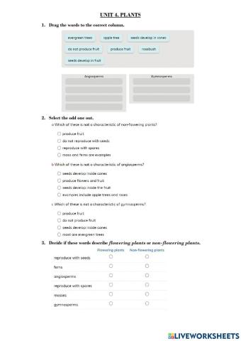 Plants. Angiosperms and Gymnosperms