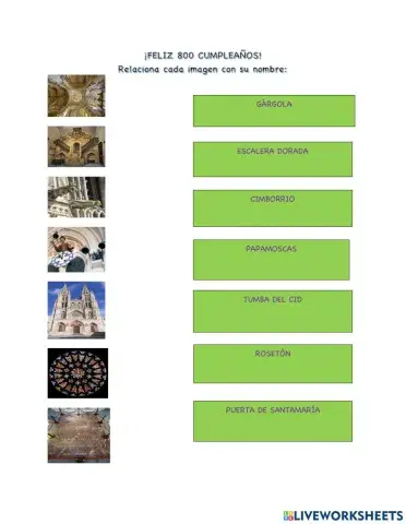 ¡Feliz 800 cumpleaños!