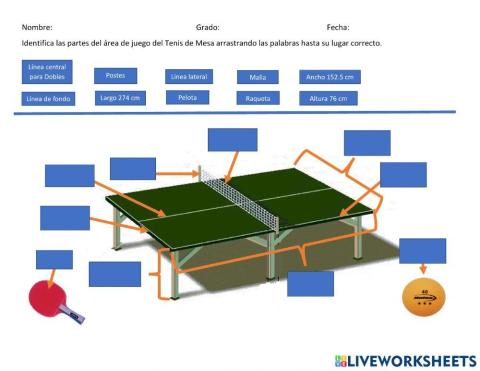 Identifica el área dejuego de tenis de mesa