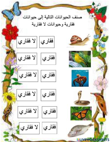 تصنيف الحيوانات فقاري ولا فقاري