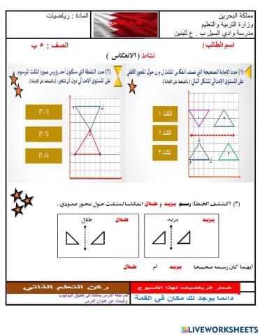 نشاط الانعكاس