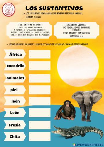 Sustantivos comunes y propios