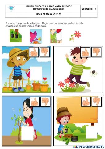 Cuidado de las plantas